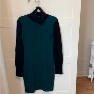 Aqua Cashmere 100% Cashmere turtleneck dress